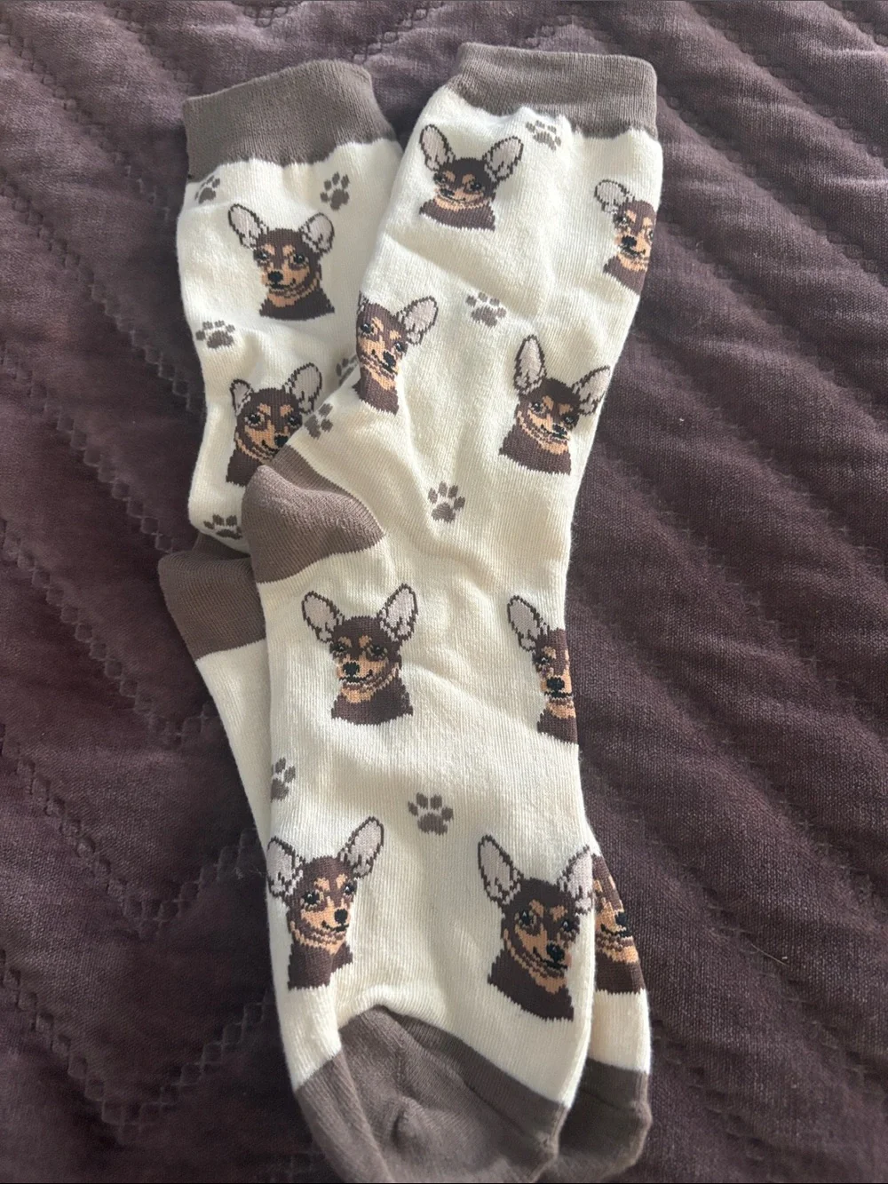 Chihuahua Dog Face Crew Socks